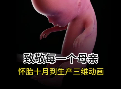 女子本弱，為母則剛，致敬偉大的母親們！華匠科技-孕期三維動畫定制